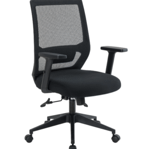 GENEBRA DIRETOR